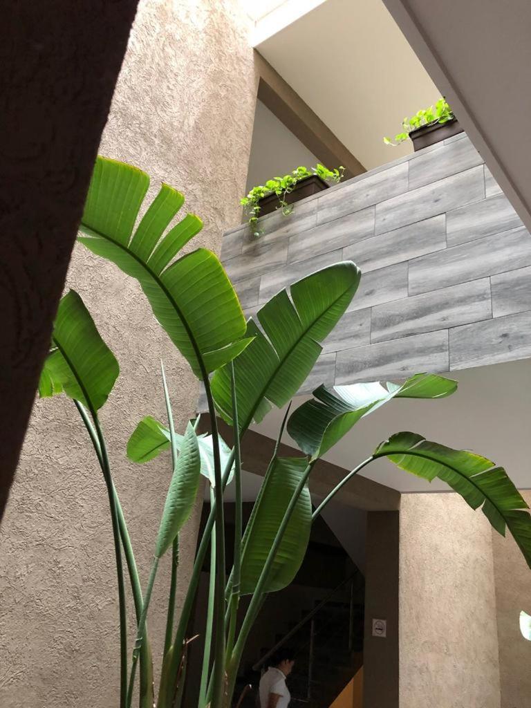 Hotel Plaza Arteaga Монтерей Екстериор снимка